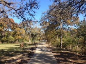 Fall 2015 on the trail