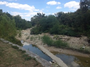 Shoal Creek park view