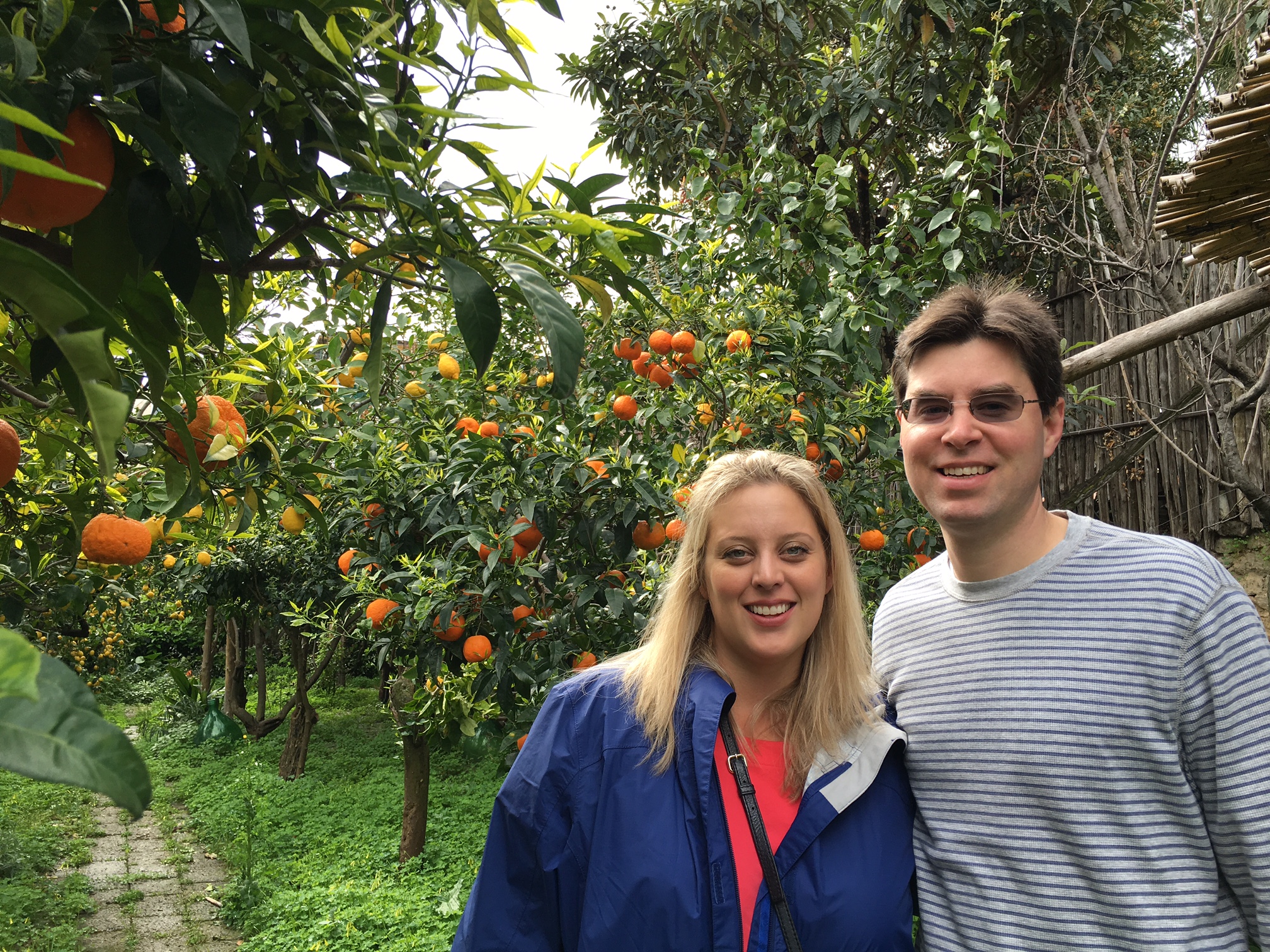 Noi nei alberi di citrus 1